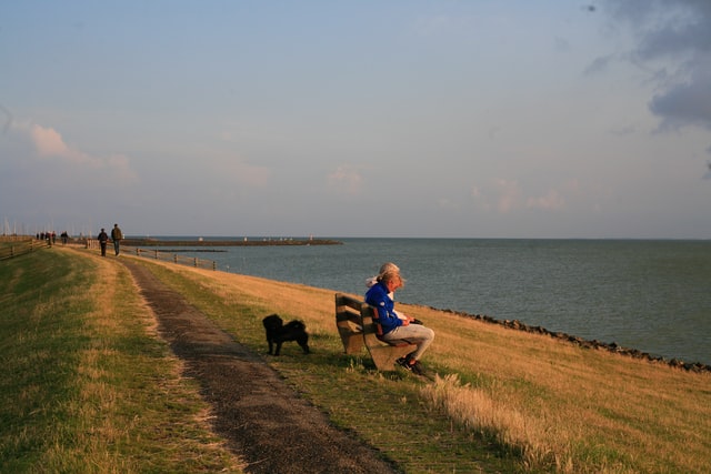 Friesland Reis door de wijn